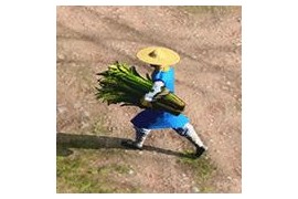 帝国时代3中国兵种_帝国时代3中国兵种修改