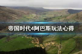 《帝国时代4》阿巴斯玩法心得 阿巴斯打法技巧攻略