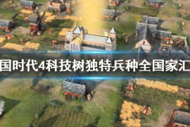 帝国时代4科技树介绍（帝国时代4最高科技是什么）
